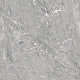 CỬU LONG GP609