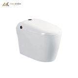 Bồn cầu thông minh DK-AC1229