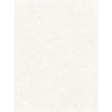 Gạch ốp Viglacera Ceramic 30×45 – B4501
