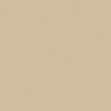 Gạch lát Viglacera Granite 60x60 BN602