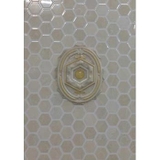 Gạch ốp vệ sinh 30x45 45037