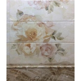 Gạch ốp vệ sinh 24x66 2610