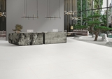 Gạch 80EVEBIA Vietceramics 80x80cm (Everest)