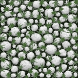 Gạch lát Mikado 40x40 MC401