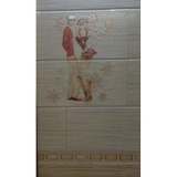 Gạch ốp vệ sinh 30x60 5D08