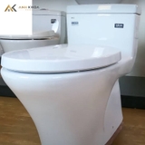 Bồn cầu 1 khối Inax AC-900VRN