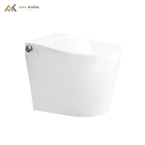 Bồn cầu 1 khối D&K Q3302