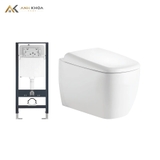 Bồn cầu âm tường D&K W206