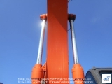 Hitachi ZX225 năm 2012 đầu khai thác gỗ Iwa Fuji GPi-50T