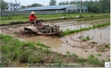 Máy cày thuyền