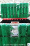 Máy rửa củ cải Sashinami FF10-09