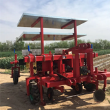 Máy trồng dứa (thơm) kèm phủ bạt