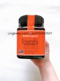 Mật Ong Manuka Wedderspoon K Factor 16 MGO 550 (nhiều size)