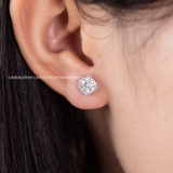 Khuyên tai bạc Việt Nam Classic Radiance