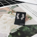 Khuyên tai bạc Việt Nam bám vành ba hoa