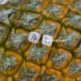 Khuyên tai bạc Việt Nam ổ đá cạnh vuông