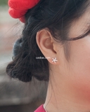 Khuyên tai bạc Việt Nam sao biển đá