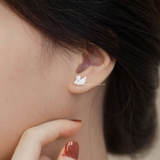 Khuyên tai bạc Việt Nam thiên nga