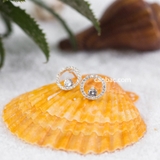 Khuyên tai bạc Việt Nam tròn rỗng ổ đá