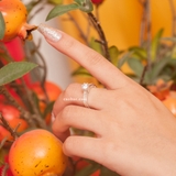 Nhẫn bạc Việt Nam ổ đá sáu chấu cạnh đá viền bi