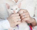 Nhẫn nam bạc Việt Nam Lucia Ring (114)