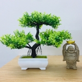 Chậu cây bonsai nhựa 3 nhánh nhiều màu sắc trang trí bắt mắt