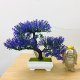 Chậu cây bonsai nhựa 3 nhánh nhiều màu sắc trang trí bắt mắt