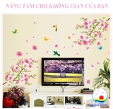 Giấy dán tường phong cảnh hoa anh đào căng tràn sức sống
