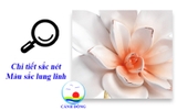 Giấy dán tường Đôi Cá Trong Hồ Hoa sang trọng
