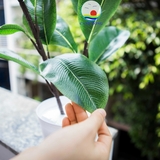 Chậu cây xanh 2 nhánh 30 lá nhựa cao cấp