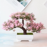 Chậu cây bonsai nhựa 3 nhánh nhiều màu sắc trang trí bắt mắt