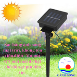 Dây đèn LED Lồng Đèn Đỏ Pin Năng Lượng Mặt Trời Cảnh Đông - Trang trí tết, trang trí quán, sự kiện ngoài trời, cây mai, đào, cửa, ngõ