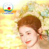 Cài tóc hoa chụp hình cổ trang, áo dài, cô dâu, tốt nghiệp , tết , dã ngoại phụ kiện chụp hình, phụ kiện cưới trang trí xinh