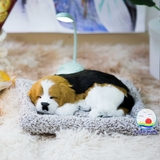 Thảm con vật trang trí ô tô than tre hoạt tính khử mùi