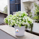 Chậu hoa hồng vải lụa xanh lá mềm mịn để bàn siêu đẹp