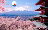 Giấy dán tường hoa anh đào Nhật Bản cùng núi Phú Sĩ tuyệt đẹp
