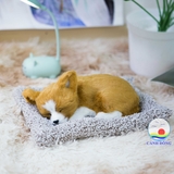 Thảm con vật trang trí ô tô than tre hoạt tính khử mùi