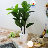 Chậu cây xanh 2 nhánh 30 lá nhựa cao cấp