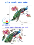 Giấy dán tường Khổng Tước nghệ thuật và sang trọng