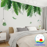 Decal dán tường lá xanh và khung tranh đen trắng combo trang trí lạ mắt