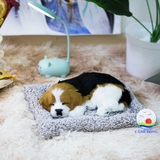 Thảm con vật trang trí ô tô than tre hoạt tính khử mùi