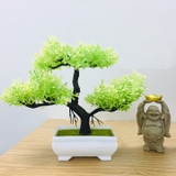 Chậu cây bonsai nhựa 3 nhánh nhiều màu sắc trang trí bắt mắt