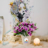 Chậu hoa lily nhựa cao cấp trang trí nội thất đẹp