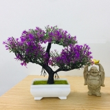 Chậu cây bonsai nhựa 3 nhánh nhiều màu sắc trang trí bắt mắt