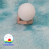 Thảm lông lót sàn cỡ nhỏ trang trí tiện lợi