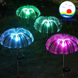 Đèn sứa năng lượng mặt trời đổi màu trang trí sân vườn, nhà hàng, khách sạn , quán cà phê ...