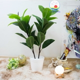 Chậu cây xanh 2 nhánh 30 lá nhựa cao cấp