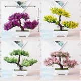 Chậu cây bonsai nhựa 3 nhánh nhiều màu sắc trang trí bắt mắt