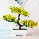Chậu cây bonsai nhựa 3 nhánh nhiều màu sắc trang trí bắt mắt