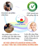 Decal dán tường lá xanh nhiệt đới không gian phòng xanh mát sang trọng